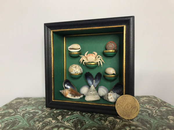Miniatuur ‘Wunderkammer’ Krab